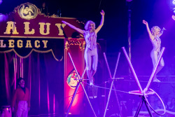 El Circ Raluy Legacy s'instal·la a Sabadell 